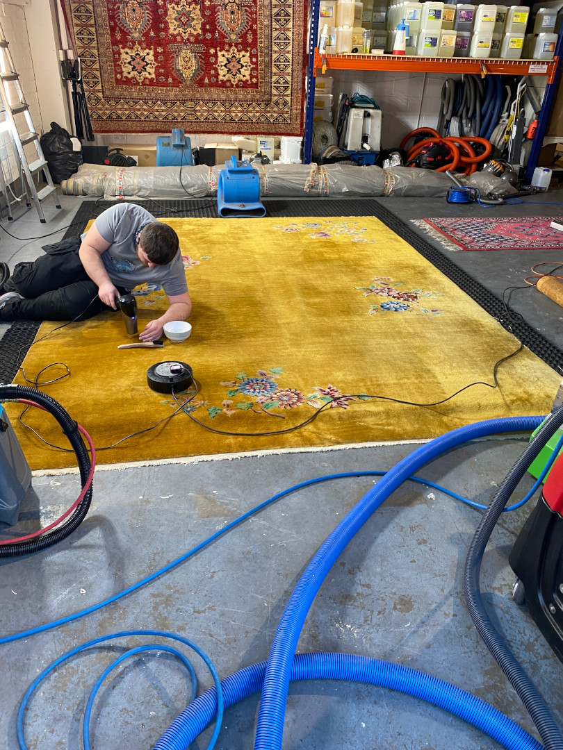 student laying on a rug removing a stain